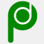 pakdigg.com