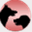 hundetreff-und-training.de