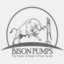bisonpumps.com