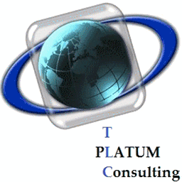 platumconsulting.fr