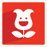 buyukcekmececicek.com