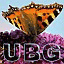 urbanbutterflygarden.co.uk