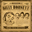 billyhornett.bandcamp.com