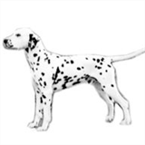 coastlinehealthandchiro.com