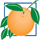 orangecountycarpetcleaning.org