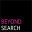 beyondsearch.net