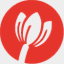 kidsontulip.com.au
