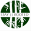 stayrooted.wordpress.com