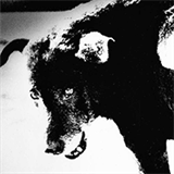 mosaicms.com