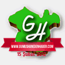 gumushanedenhaber.com