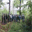 ass-sylvicole-centre-68.over-blog.com