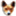 basenji.it
