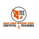 scuoladisopravvivenza.sostelevision.it