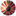 pirlouit-consulting.fr
