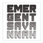 emergentsavannah.org