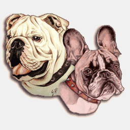 bulldogsinhogar.org