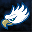 fgcuhockey.net