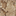 artinstituteofdave.weebly.com