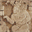 artinstituteofdave.weebly.com
