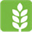 leadharvest.com.au