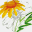 encountereg.co.za