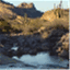 desertstreams.wordpress.com