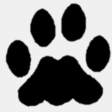 crissi.linux-administrator.com