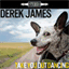 derekjames.bandcamp.com