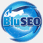 bluseo.pl