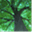 activeintuition.wordpress.com