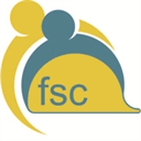 fsctorino.it