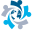 ibmhawaii.org