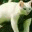 phamanh129.wordpress.com