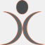 shapingsystems.com