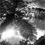 reuni0n.over-blog.com