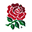 englandrugbyteachersresource.com