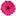 expressionsfloral.co.nz