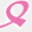 gouverneurbreastcancerfund.com