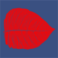 hrbcentreprimarycare.ie