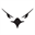 gryphonconnect.com