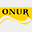 onurkarton.com