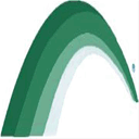 assistenzaanzianivarese.it