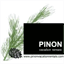 pinonvacationrentals.com