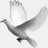 funerariatanatorioperezbueno.com