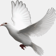 funerariatanatorioperezbueno.com