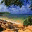 palekaiko.wordpress.com