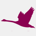 swanmesh.com