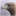 masterfauna.biol.unipr.it