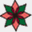 poinsettia.jp