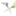 disablewirelessonwired.com